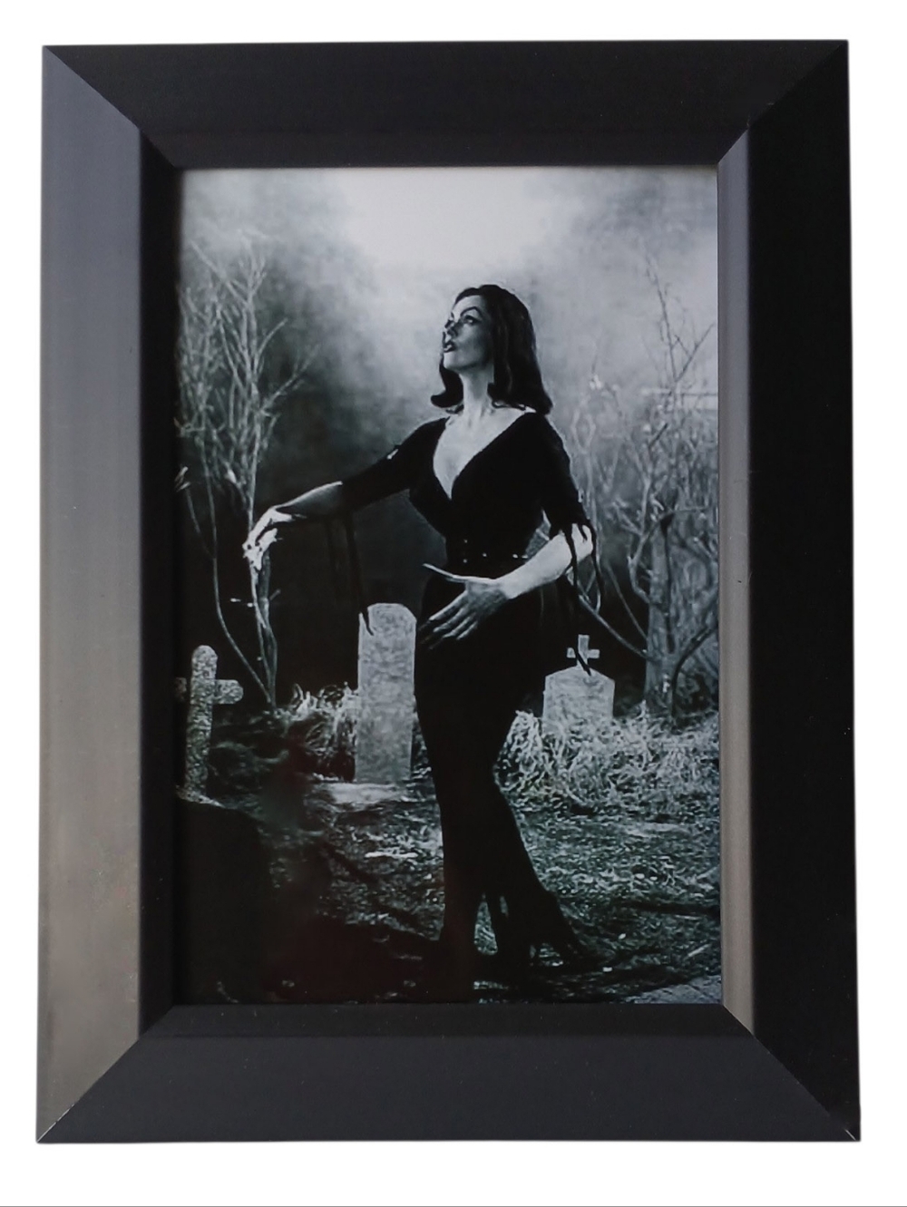 Vampira Vintage Horror Gothic Punk Witchy Goth Beautiful beauty pin up portrait